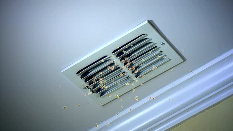 Best Affordable HVAC Duct Cleaning  in Silver Hill, MD