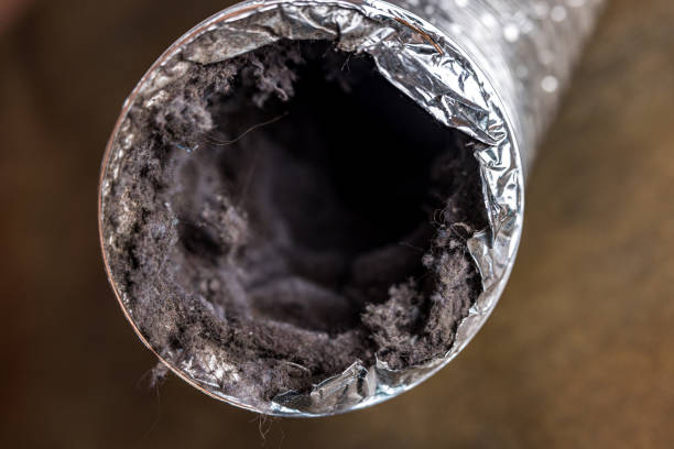 Best Affordable Duct Cleaning Services  in Silver Hill, MD